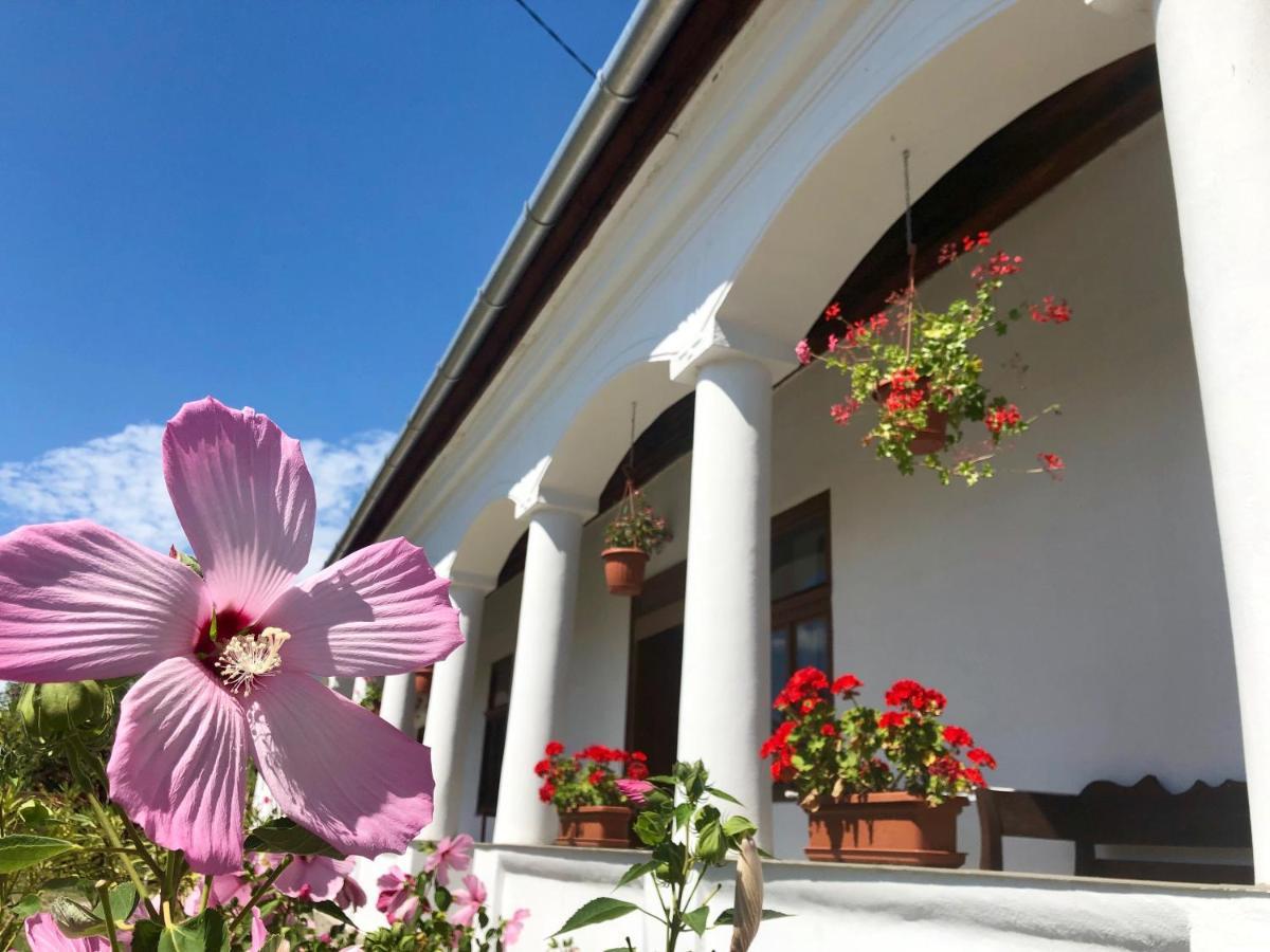 Heni Vendeghaza Hotel Vadna Bagian luar foto
