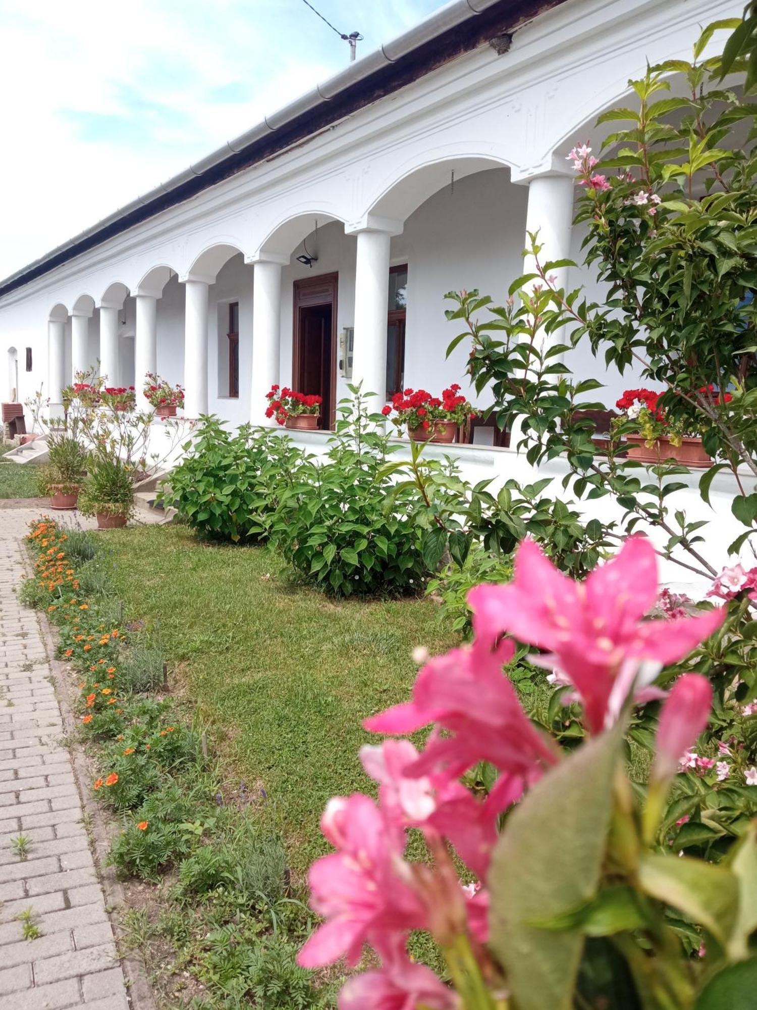 Heni Vendeghaza Hotel Vadna Bagian luar foto